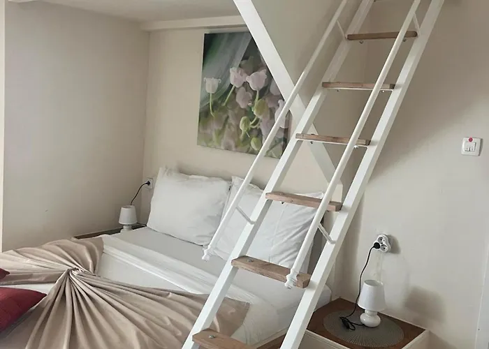 & Infinity 리예카